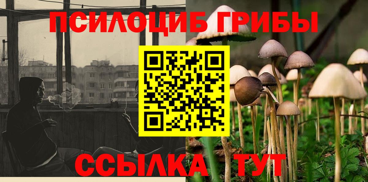 Азнакаево  Галлюциногенные грибы Cubensis  Вход с VPN  закладки  Галлюциногенные грибы Cubensis 